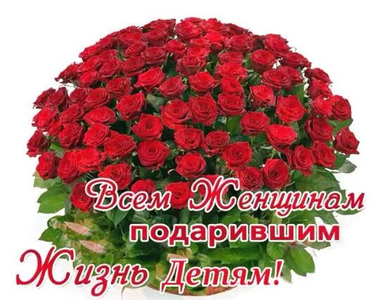 Этот букет мне прислали с утра! Я делюсь с вами, дорогие женщины! 