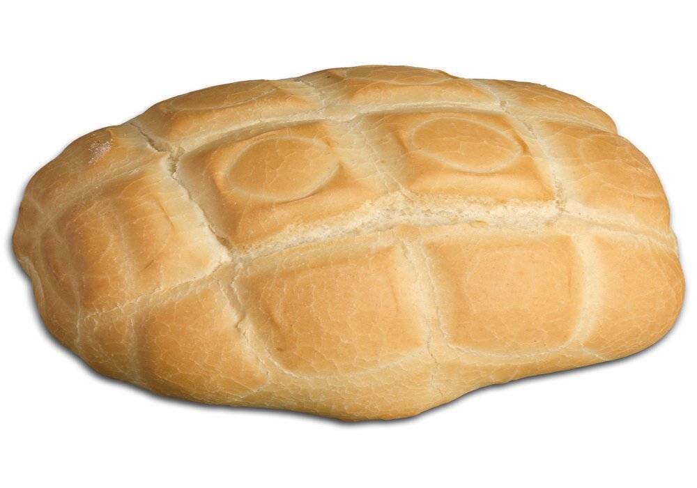 Tartaruga
