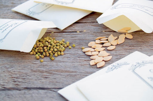 Изображение для иллюстрации, взято из открытых источников