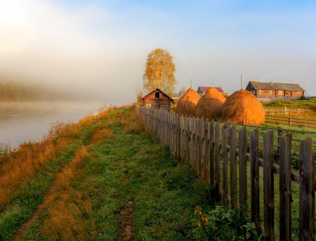 Яндекс. Картинки