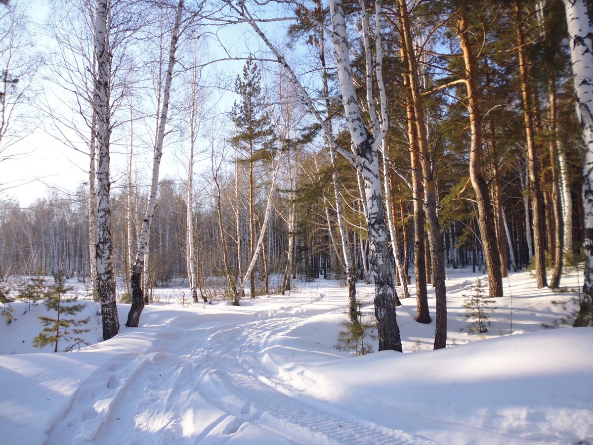 В австралию ни ногой фото