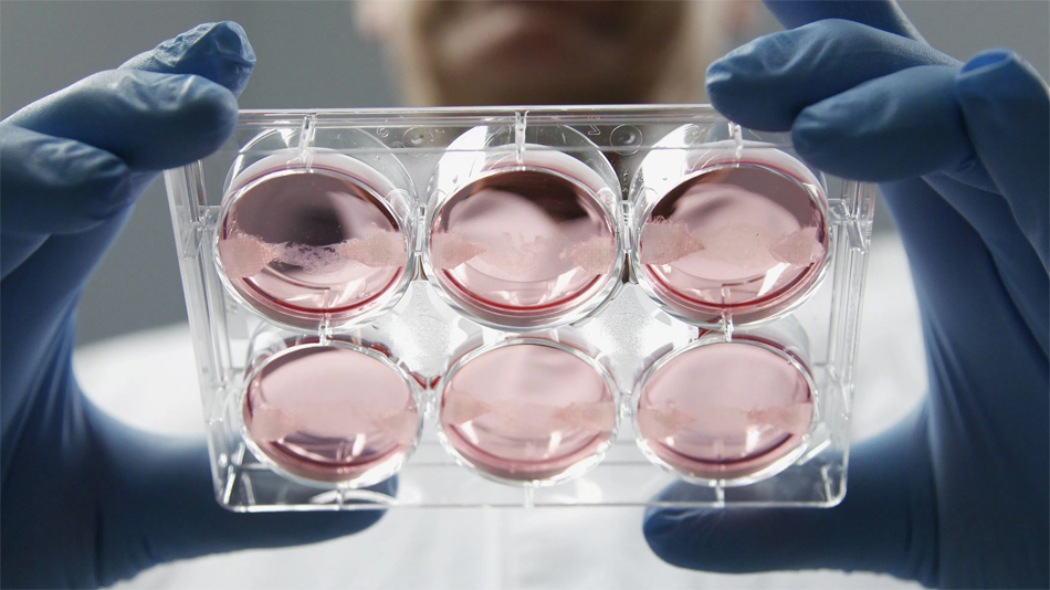 Тематическое изображение