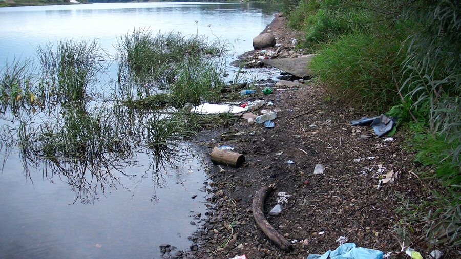 Мусор на берегу. Источник фото nikatv.ru