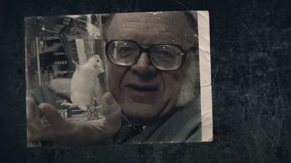 Кадр из программы "Загадки человечества" на РЕН ТВ