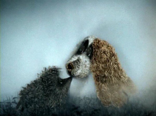 l-ora.livejournal.com