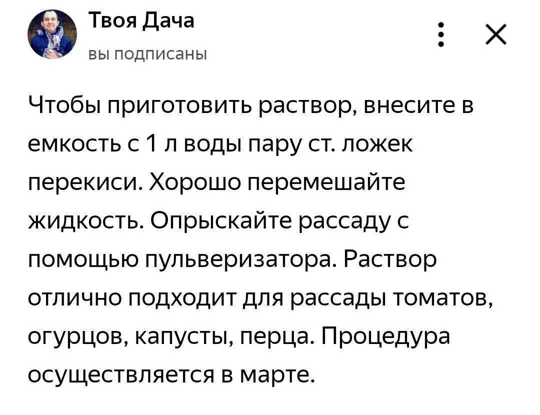 Скин из Дзен-канала того самого советчика