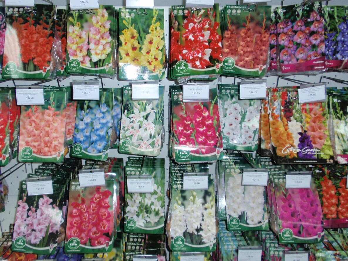 Где в новосибирске можно купить недорогой. Семена цветов в ассортименте. Магазин луковиц цветов. Ассортимент семян овощей. Семена и луковицы цветов в цветочном магазине.