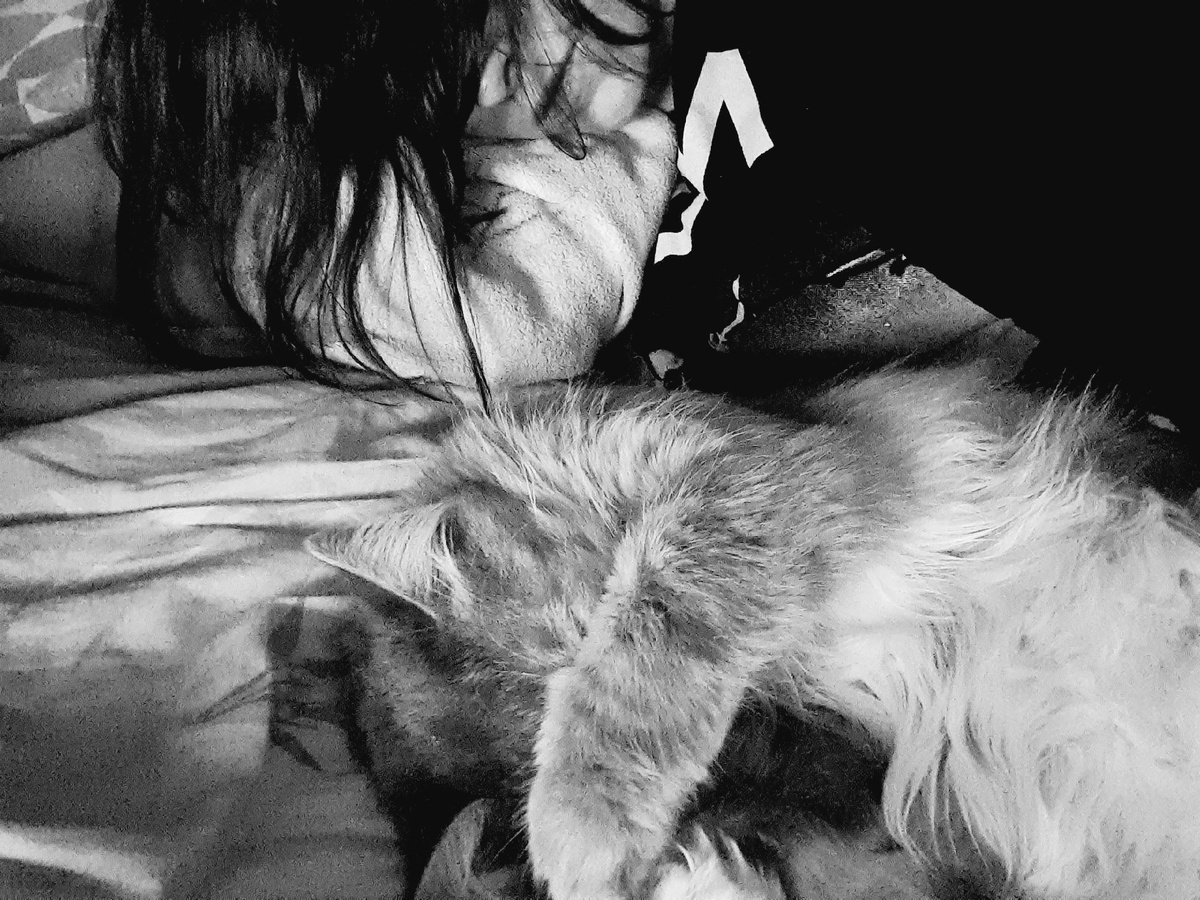 Спим. Спим? Спим!