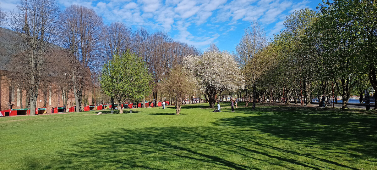 Остров Иммануила Канта (Кнайпхофф). Слева кафедральный собор