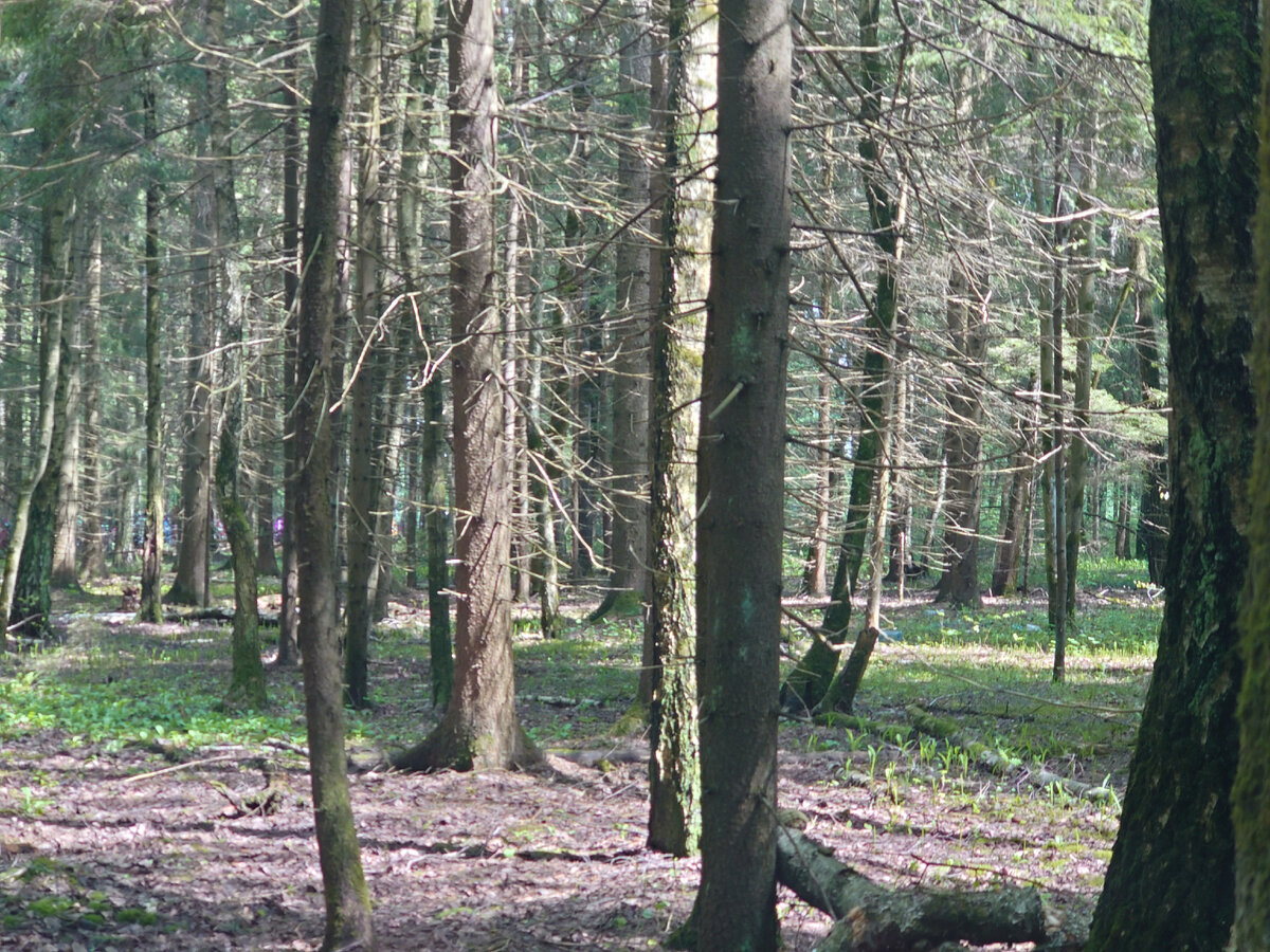 Вот там веселенькие точки, это оно