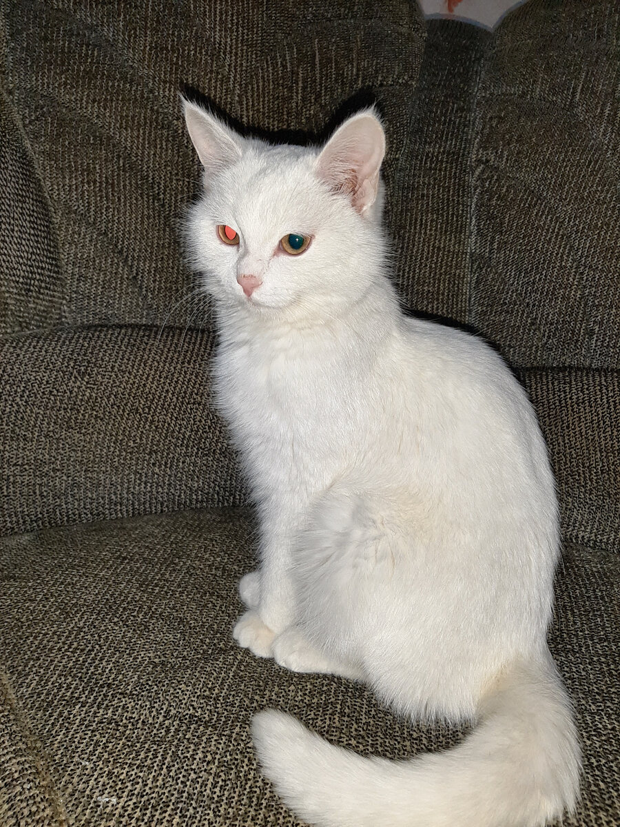 Я здоров, иду знакомиться 