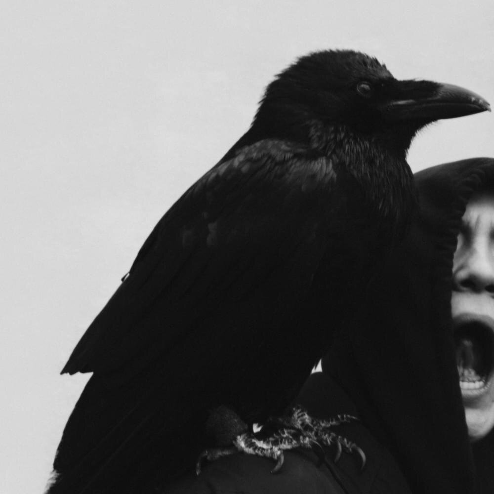 Автор фото: Игорь Клепнев 