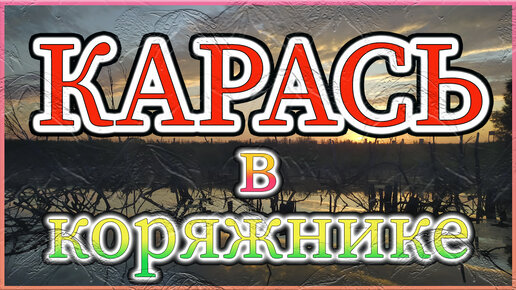 В этих корягах полно карася. Карась на поплавок.