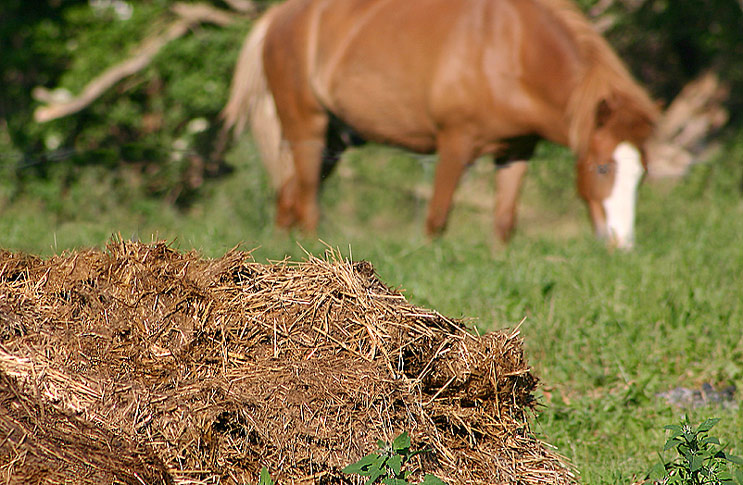 Источник: vse-udobreniya.ru