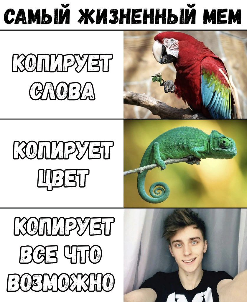 Котик хлебушек