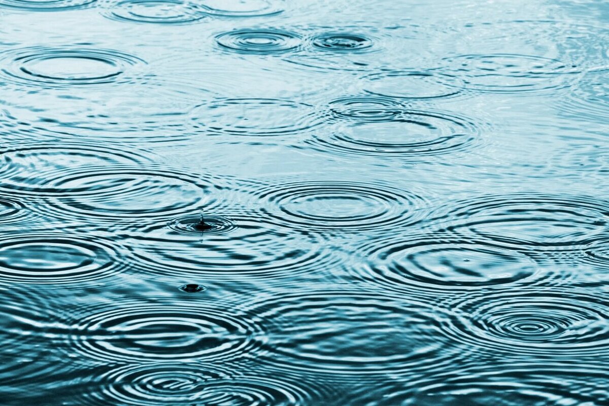     В дождевой воде по всему миру обнаружен "беспрецедентный" уровень токсических и крайне опасных для здоровья веществ