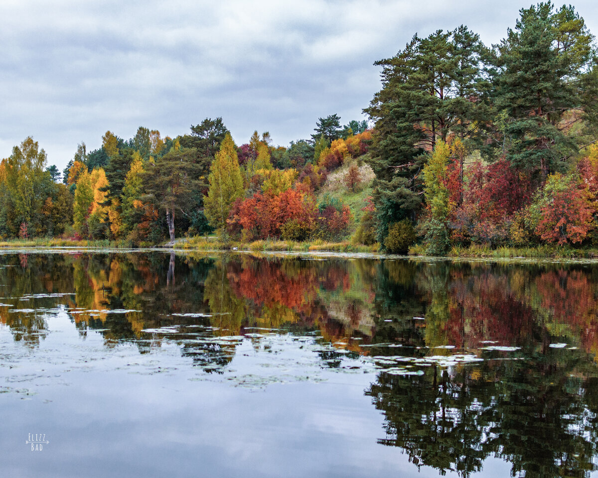 Осень 2021, Nikon D5000 + Nikkor 35mm f/1.8