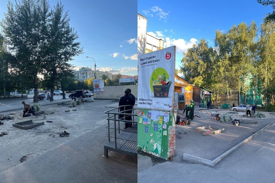     В Новосибирске на Красном проспекте спилили многолетние сосны. Фото: предоставлено читателями.