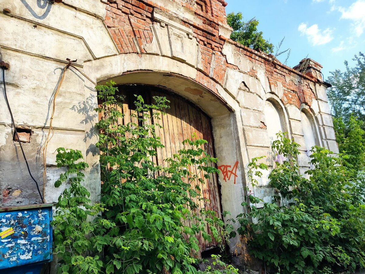 Каково прожить всю жизнь в одном доме в старой части Самары: история Нины  Большаковой | А ну-ка, бабушки! | Дзен