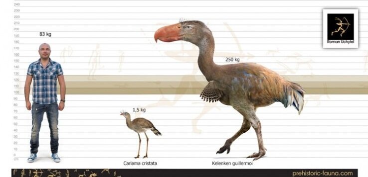 Малой, этот дядька тебя обижал?
