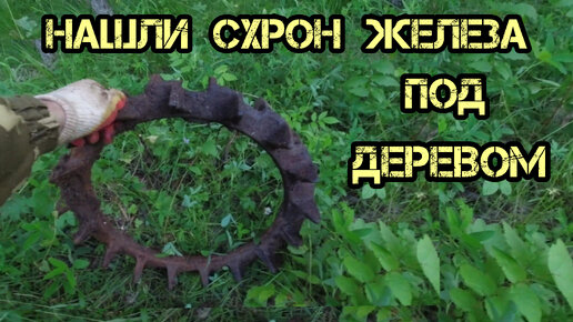 Нашли схрон железа под деревом