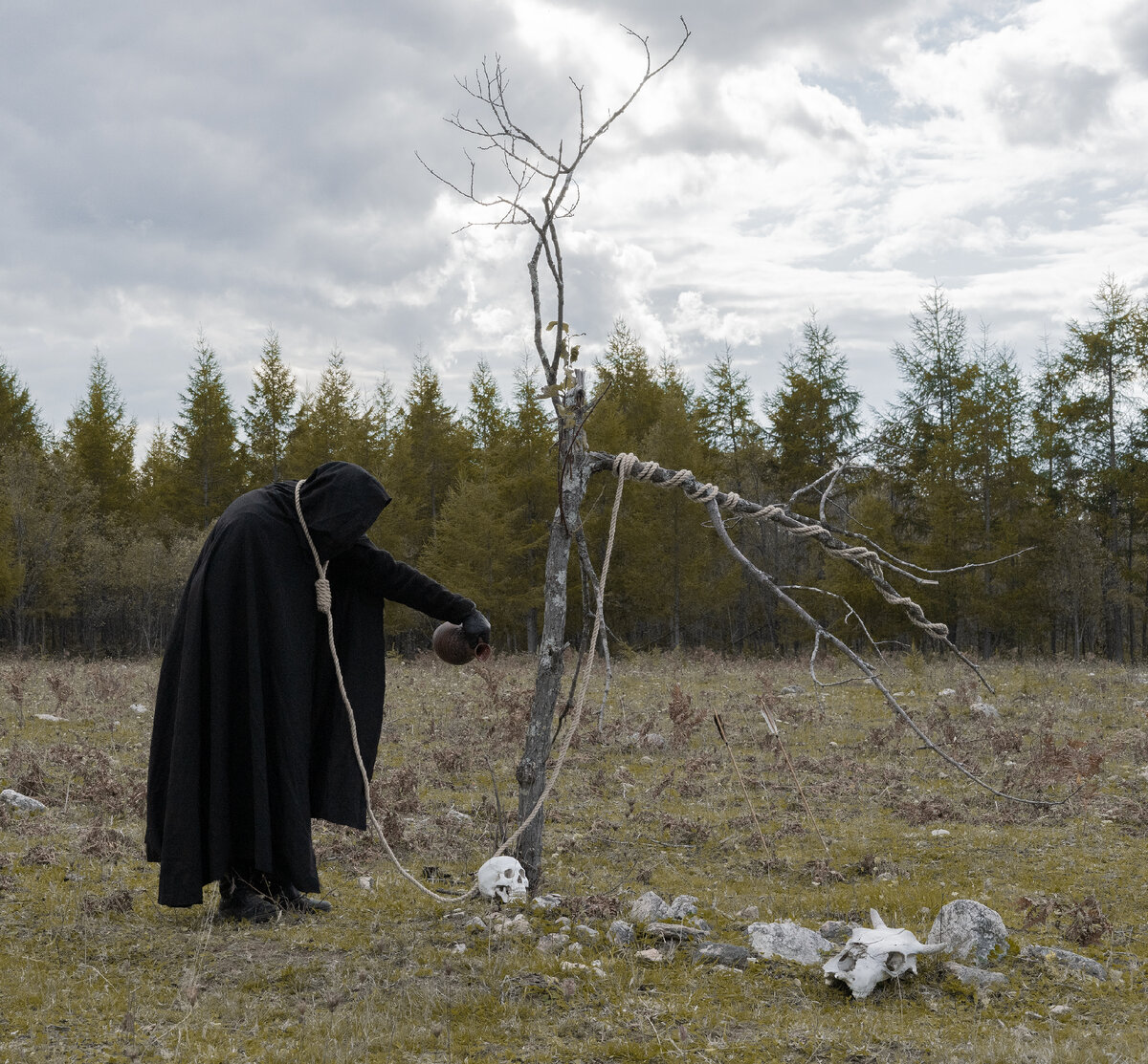 А вот, что получилось из примера выше.