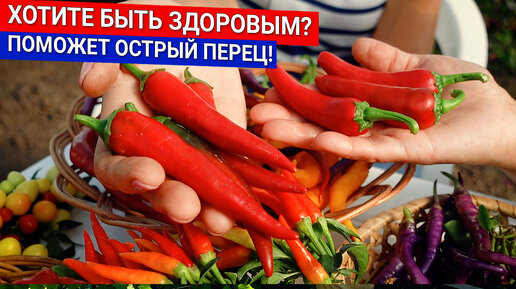 Хотите быть здоровым? - поможет острый перец!