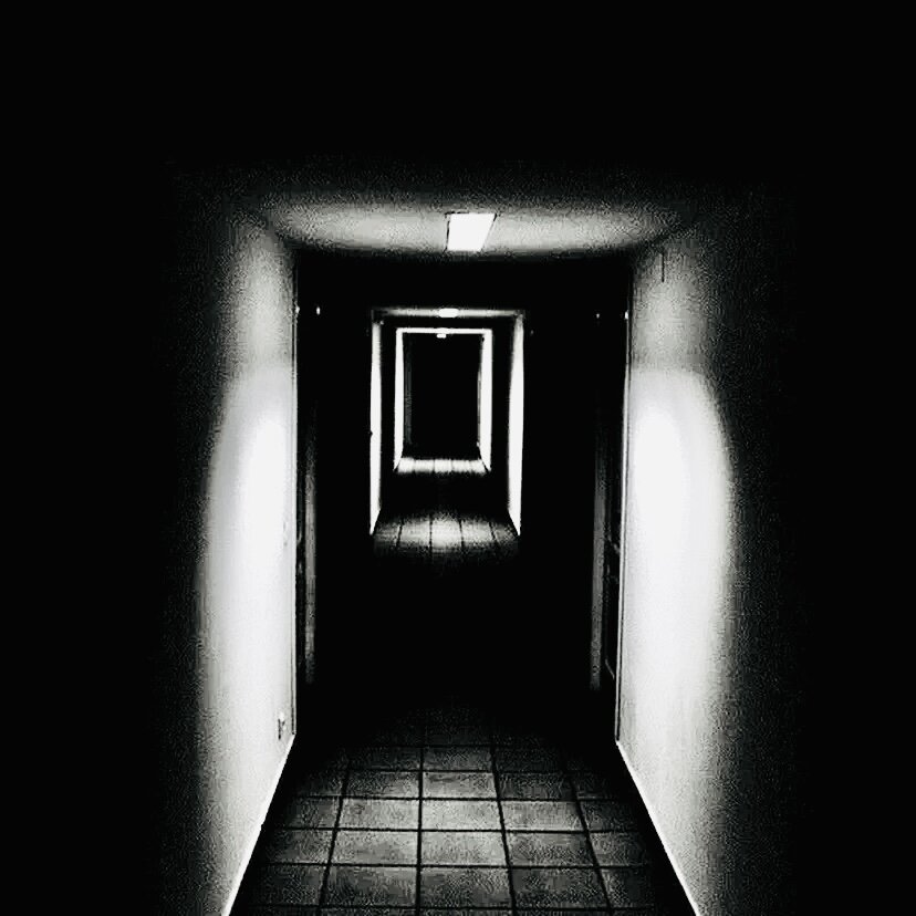 Яндекс Картинки