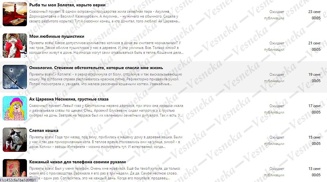 Скриншот автора со своего канала