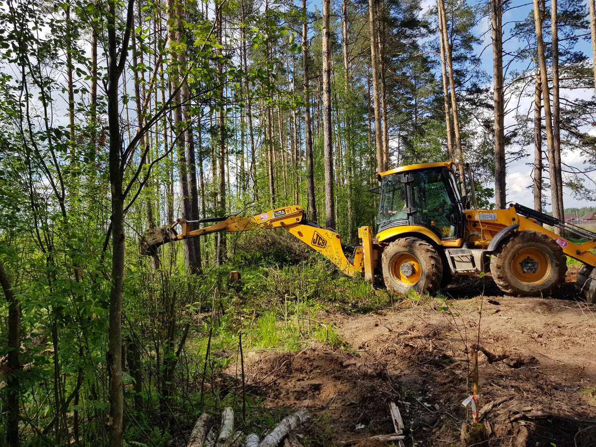 Домик в лесу