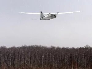    Фото: dzen.ru Валерия Трофимова