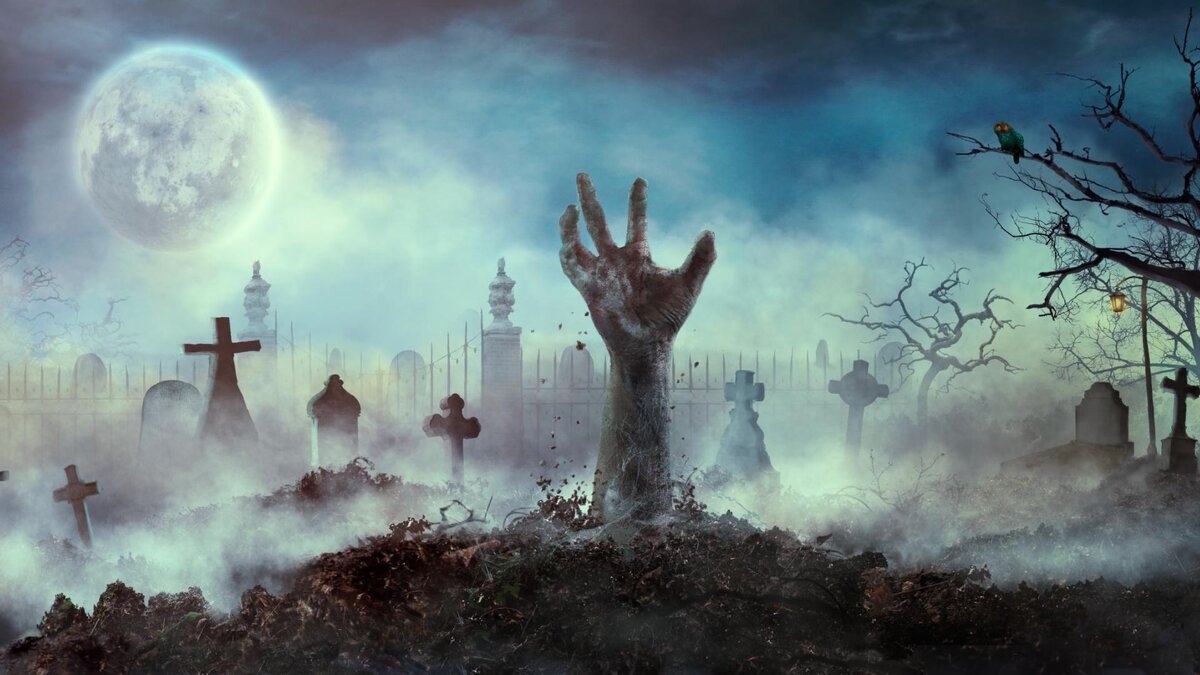 Изображение взято из открытых источников интернета. 