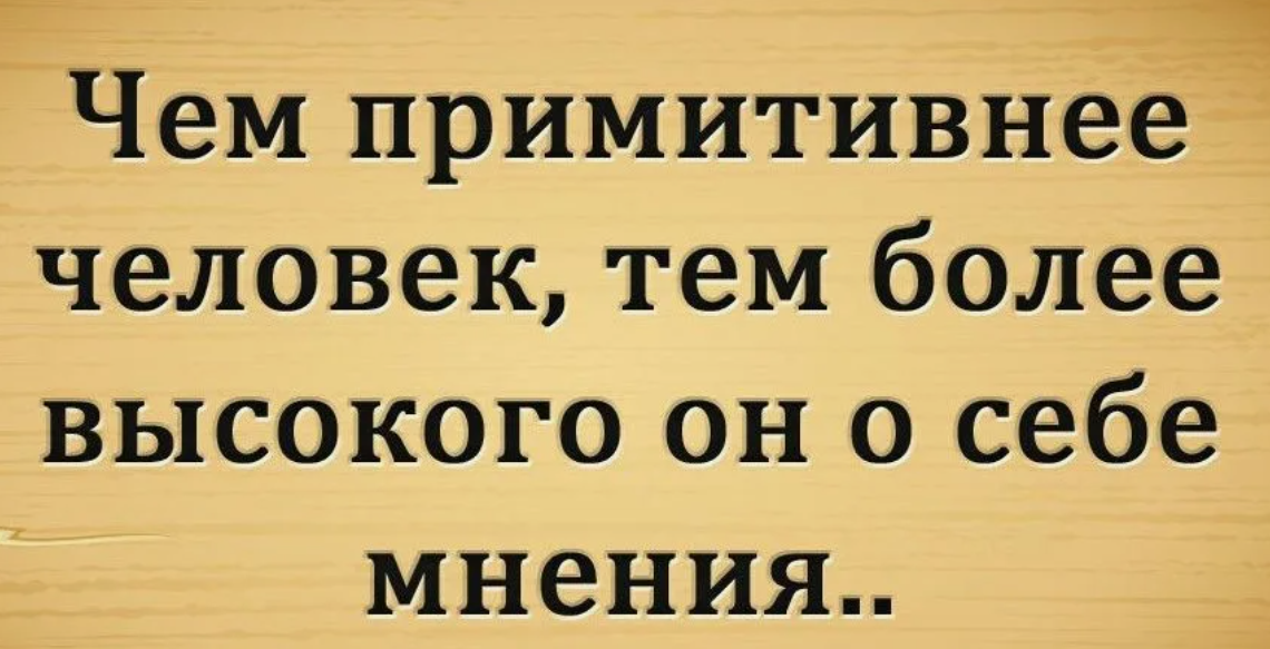 Свое о своем. Высокое мнение о себе. Человек высокого мнения о себе. Цитаты на тему человек. Статусы про глупых людей