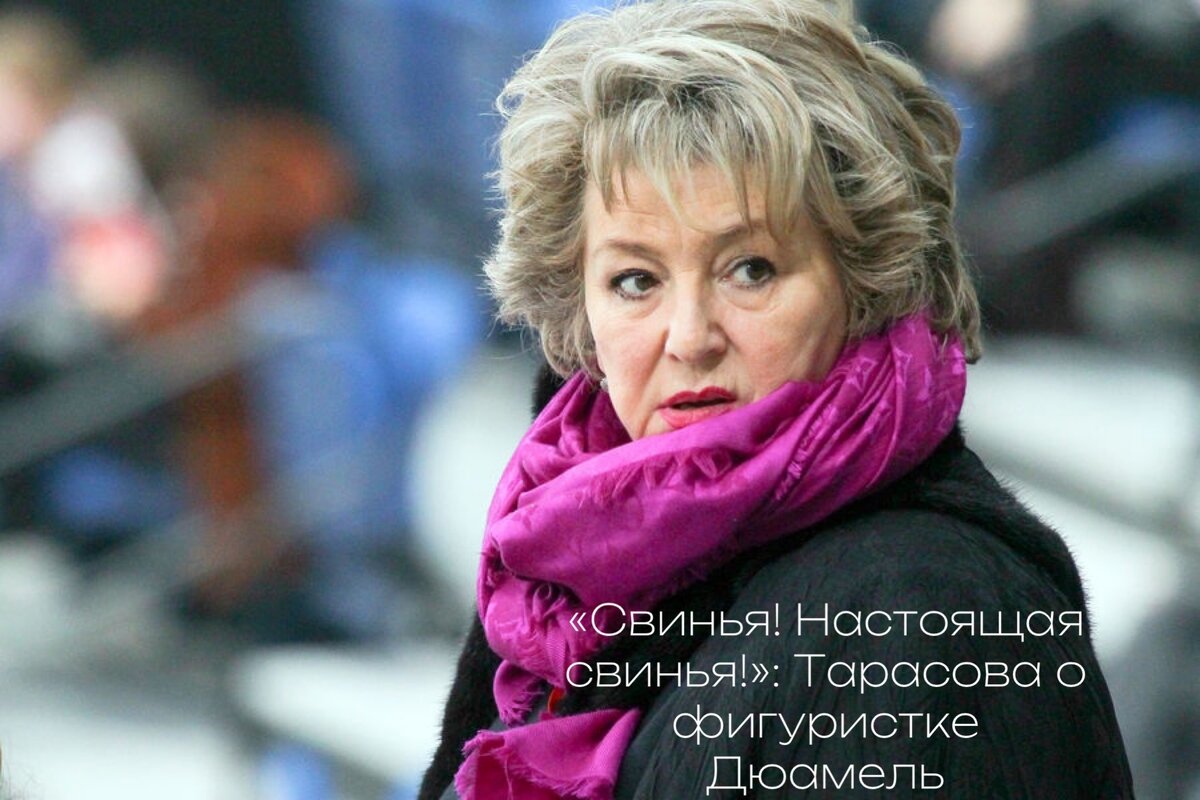 Фото: Андрей Александров/РИА «Новости»