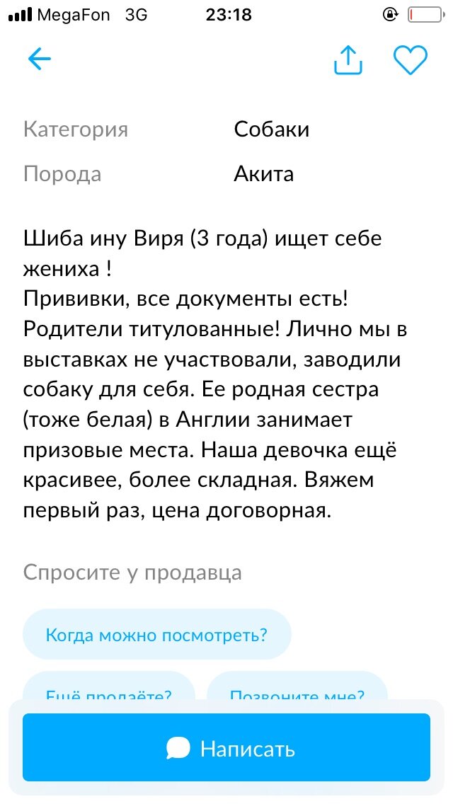 С Авито