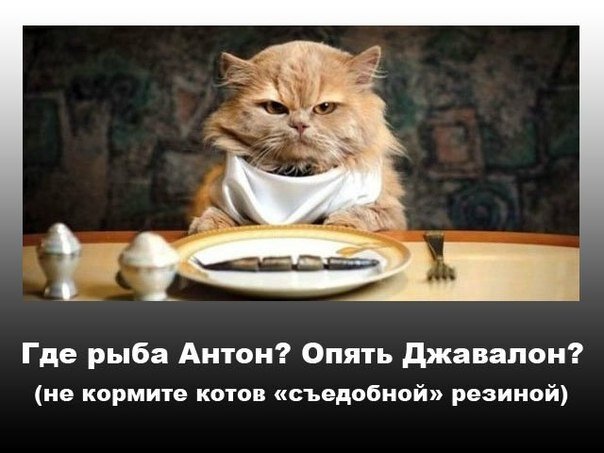 Картинка взята со свободных источников интернета, и не несет рекламный характер, только развлекательный:)))