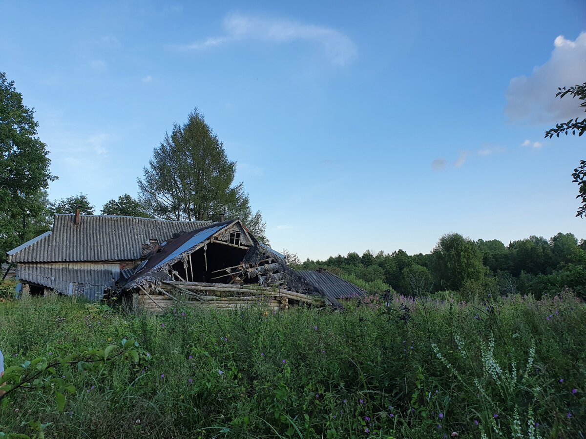 Новгородская область Демянский р-н