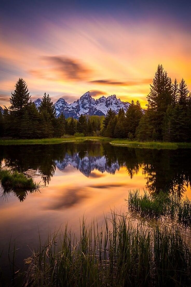 Deepfake gal gadot porn