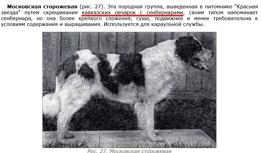 До 1997 года упоминались только эти две породы (картинка из книги со стандартом 1958 года). И лишь в стандарте 1997 года рассекретили наличие гончей.