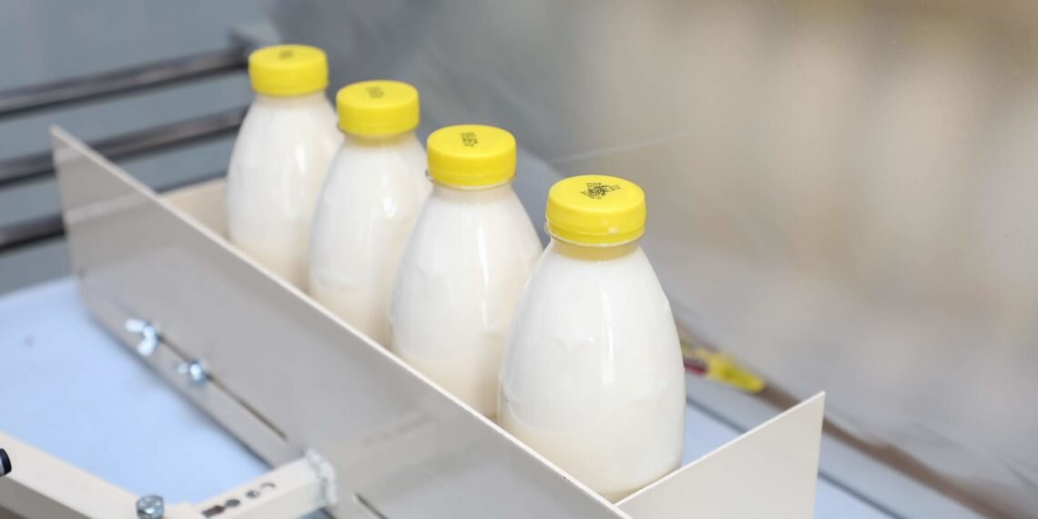 © Фото: ИД «Волгоградская правда» / Сергей Каширский.