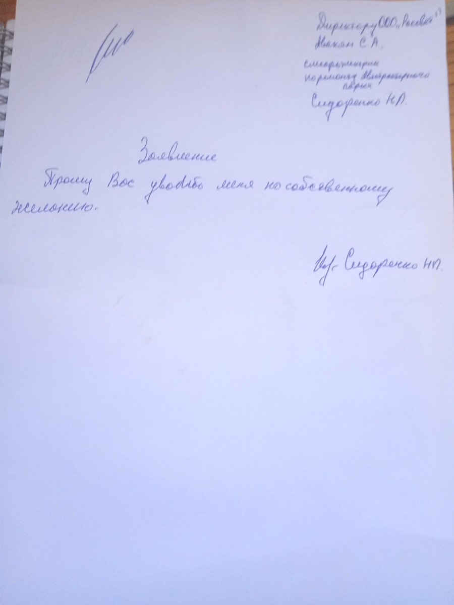 Заявление об увольнении по собственному желанию с детского сада образец