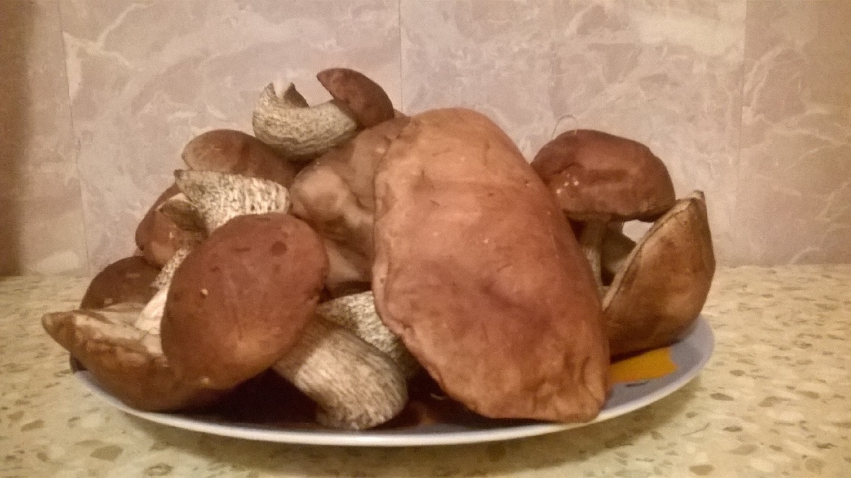 Автор - фото собственное