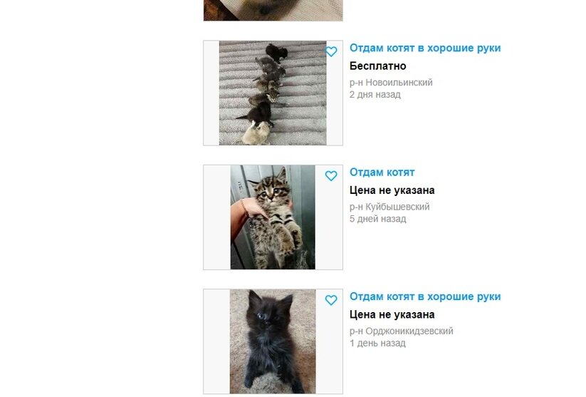 у нас таких много отдают 