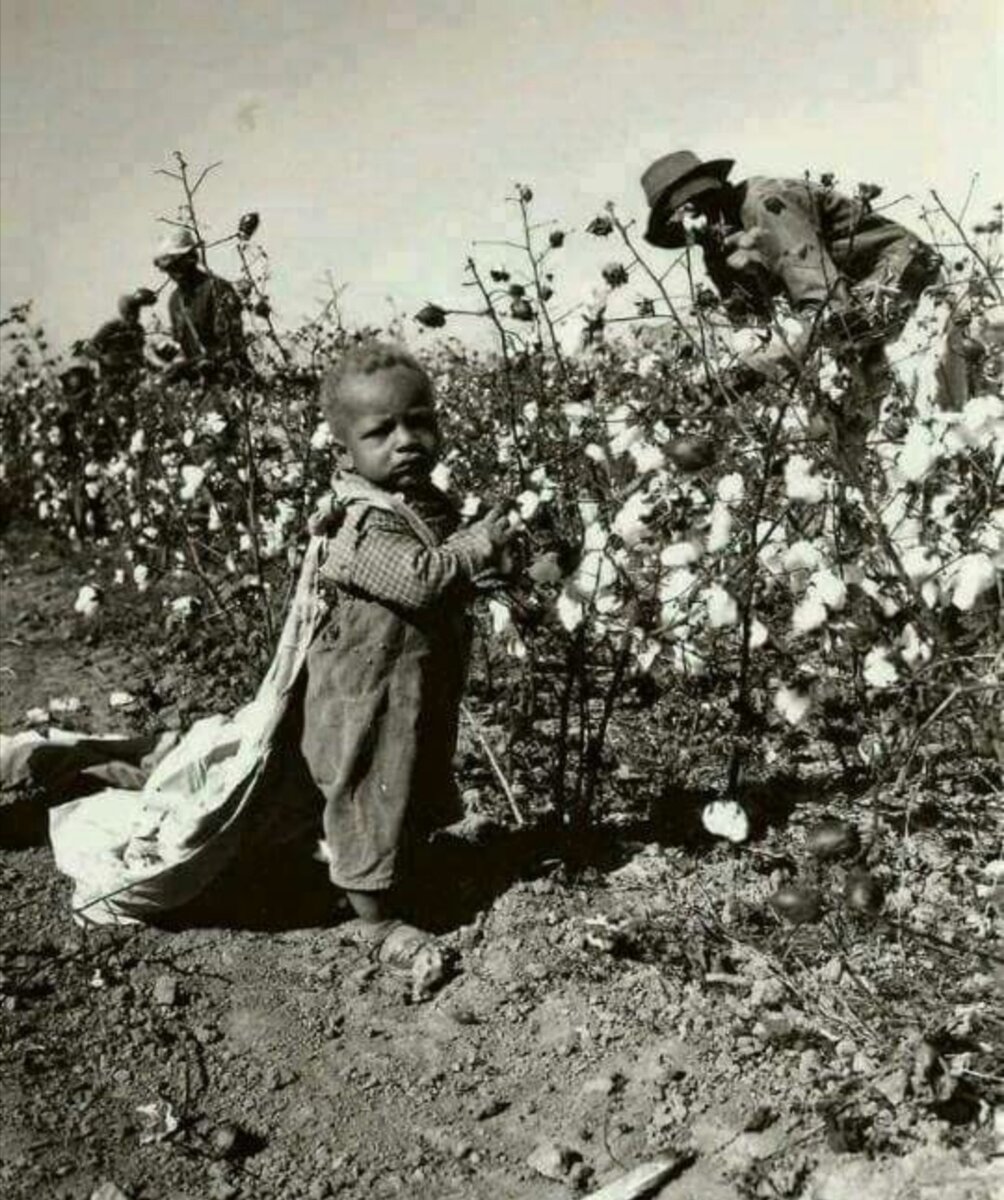 Фото из открытого источника Яндекс 