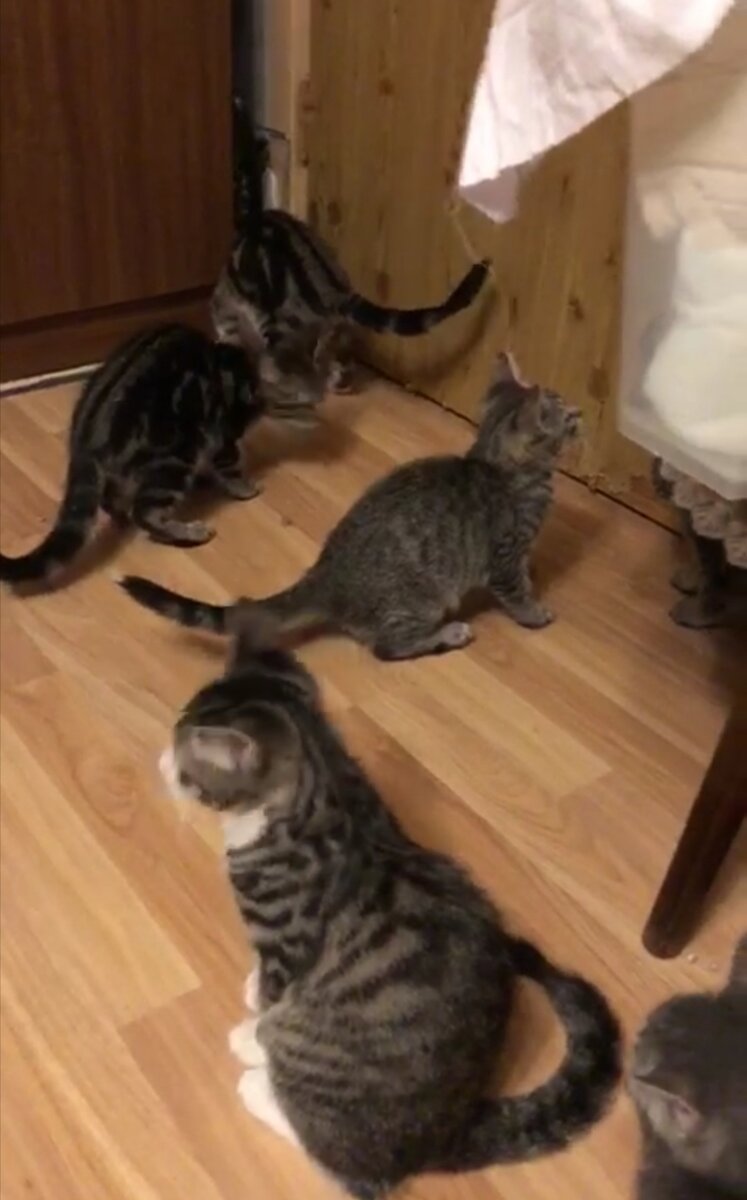 -1-3