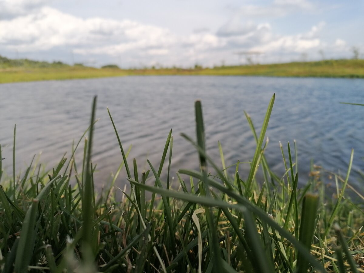 Поверьте, природа в июне гораздо красивей, чем заставки на ваших мониторах.