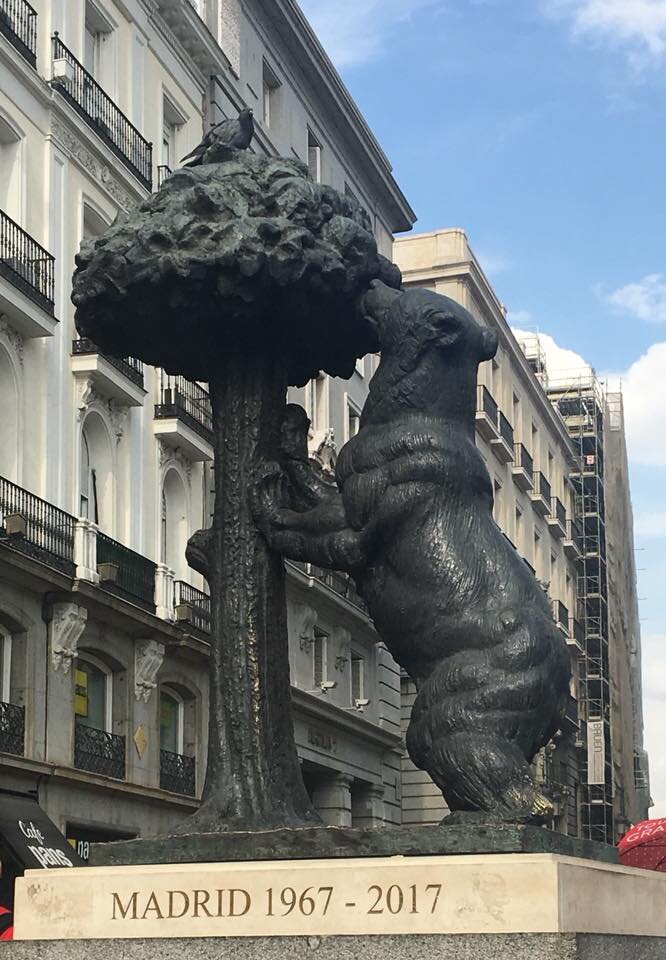 Медведь, нюхающий земляничное дерево