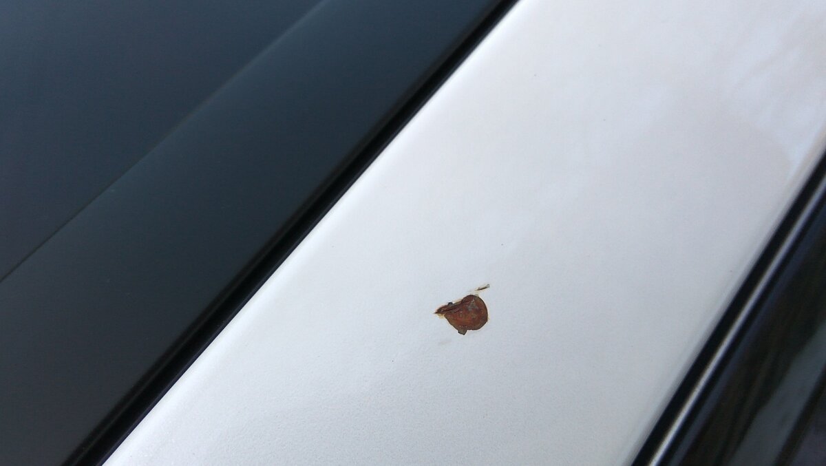 Рис. 1. Небольшой скол с ржавчиной.