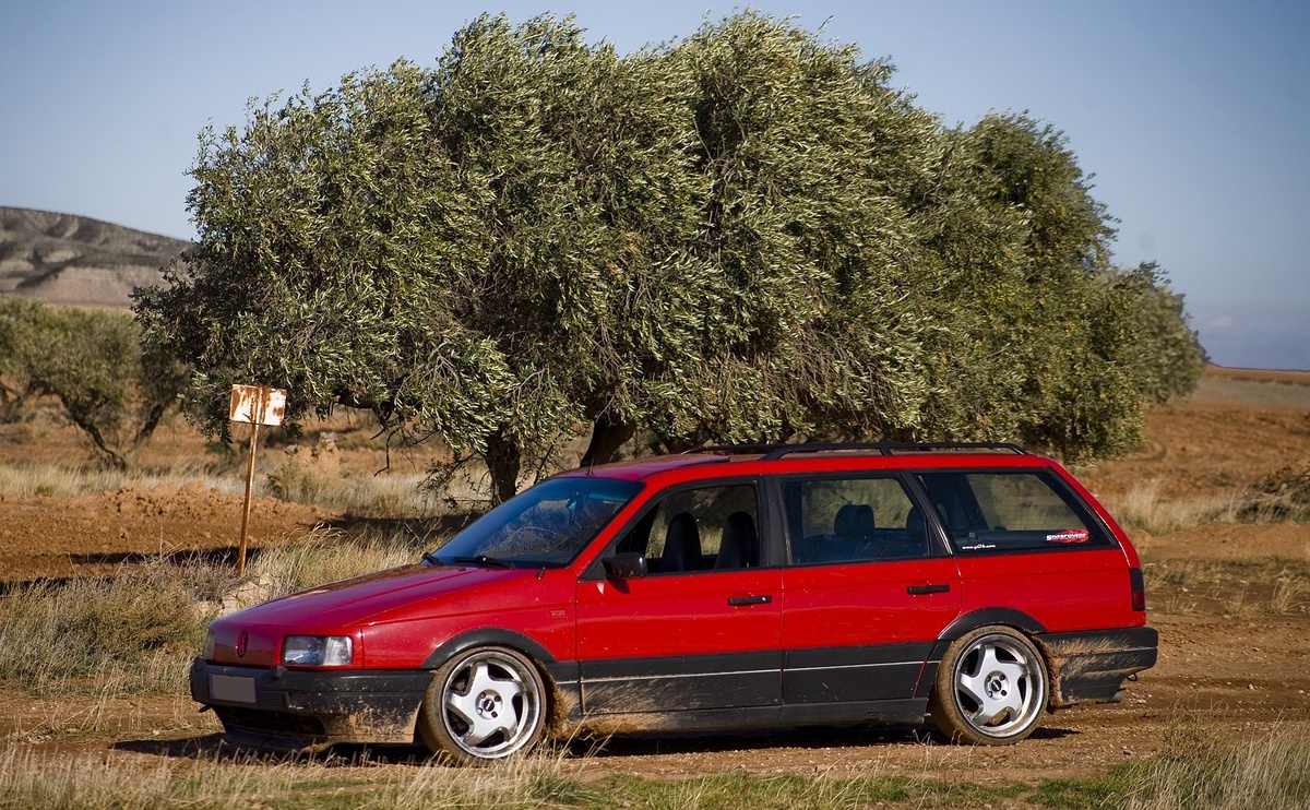 Источник: Яндекс картинки.