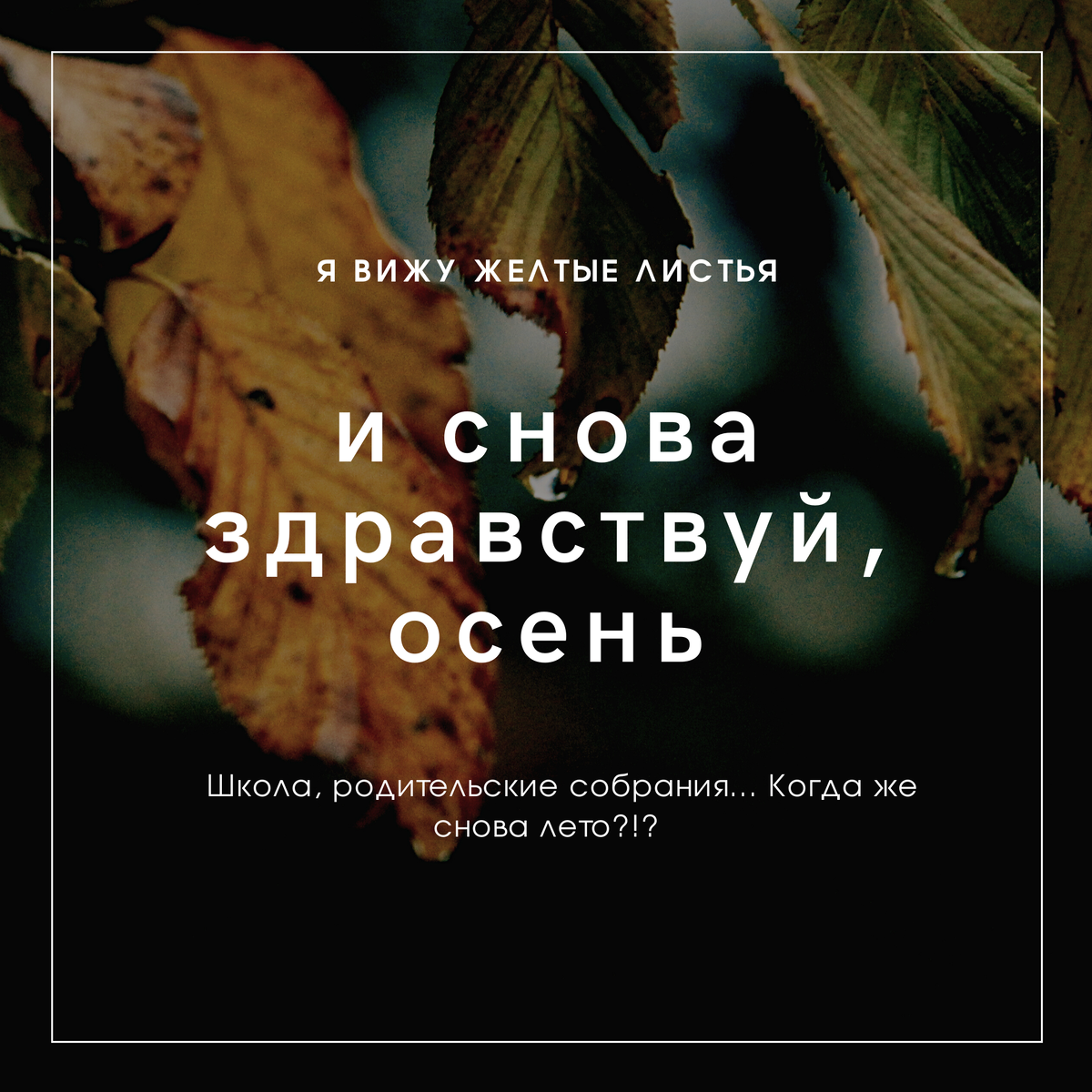 Как-то это лето проскочило незаметно, не зацепившись в памяти. Вроде и лето, а ощущения того, что отдохнули и нет.